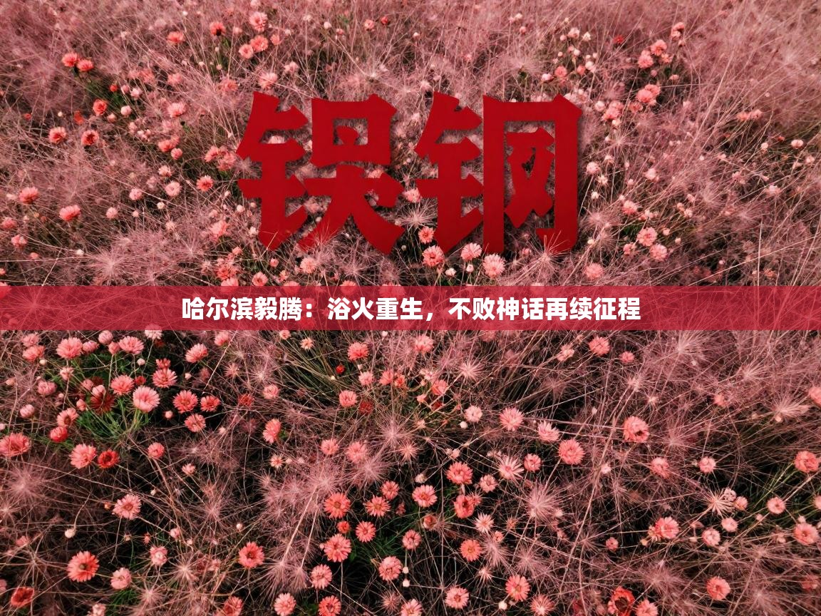 哈尔滨毅腾：浴火重生，不败神话再续征程  第2张