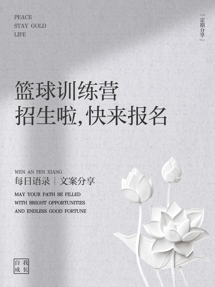 匈牙利篮球协会宣布与国际篮球联合办篮球训练营的简单介绍